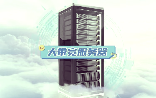 美国10G口大带宽服务器怎么样，可以做视频网站吗？